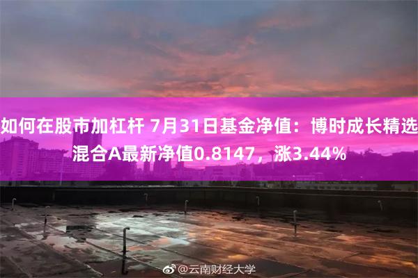 如何在股市加杠杆 7月31日基金净值：博时成长精选混合A最新净值0.8147，涨3.44%