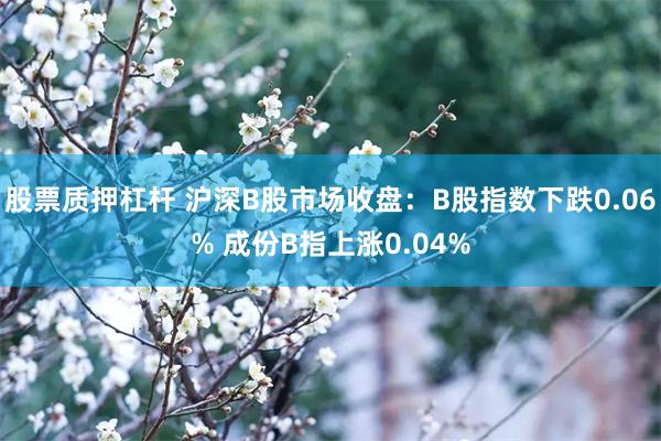 股票质押杠杆 沪深B股市场收盘：B股指数下跌0.06% 成份B指上涨0.04%