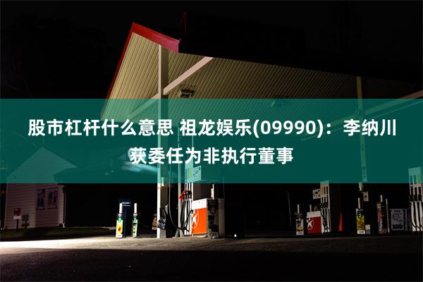 股市杠杆什么意思 祖龙娱乐(09990)：李纳川获委任为非执行董事