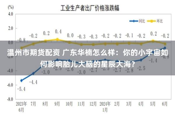 温州市期货配资 广东华楠怎么样：你的小宇宙如何影响胎儿大脑的星辰大海？