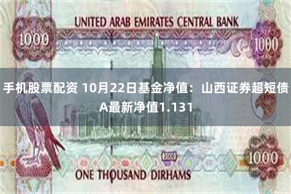 手机股票配资 10月22日基金净值：山西证券超短债A最新净值1.131