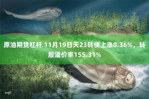 原油期货杠杆 11月19日天23转债上涨0.36%，转股溢价率155.31%