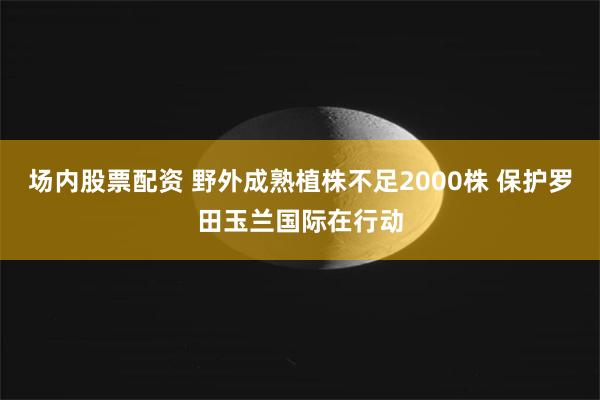 场内股票配资 野外成熟植株不足2000株 保护罗田玉兰国际在行动