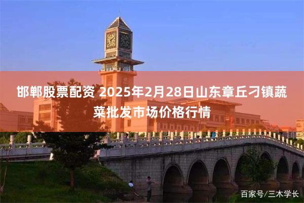 邯郸股票配资 2025年2月28日山东章丘刁镇蔬菜批发市场价格行情